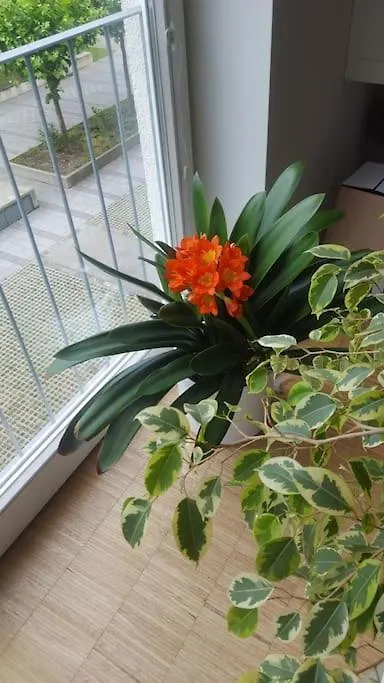 1 Apartment With 2Rooms In Muenchen  慕尼黑
